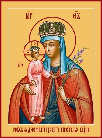 Неувядаемый Цвет икона Божией Матери (арт.06362)