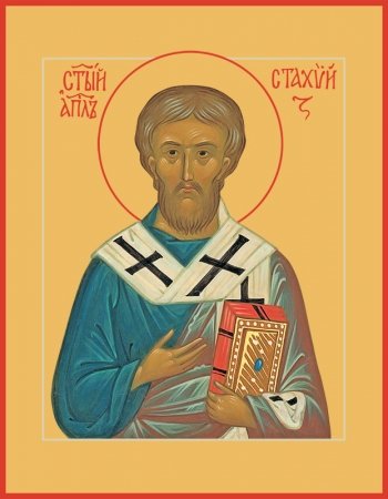 Стахий епископ Византийский, апостол, икона (арт.00787)