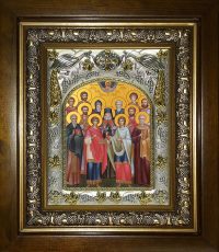 купить икону Собор святых целителей