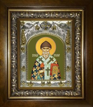 купить икону святого Спиридона Тримифунтского AK-6723