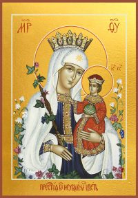 купить икону Божьей Матери Неувядаемый Цвет