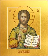 Купить икону Господа Вседержителя Иисуса Христа в православном интернет магазине dm04109