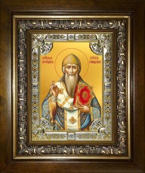 купить икону Спиридон Тримифунтский святитель