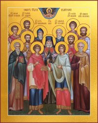 купить икону Собор святых целителей