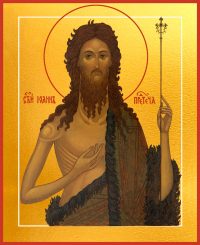 купить икону Иоанн Предтеча, Креститель Господень dm04850