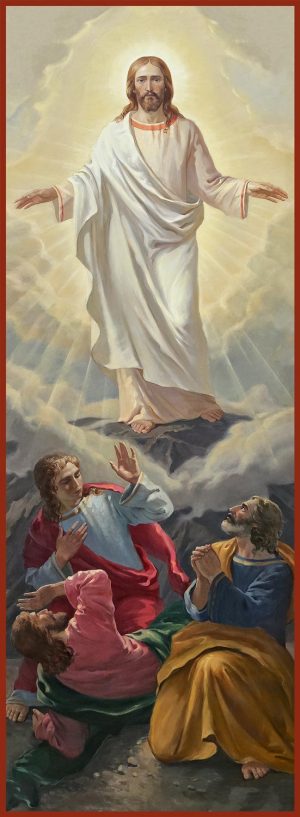 купить икону Преображение Господне dm04697