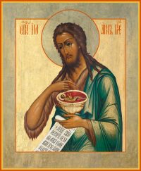 купить икону Иоанна Предтечи Крестителя Господня dm06408