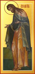 купить икону Иоанна Предтечи Крестителя Господня dm06001