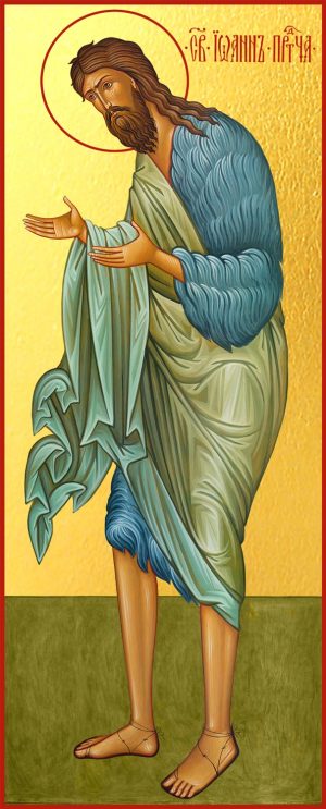 купить икону Иоанна Предтечи Крестителя Господня dm06045
