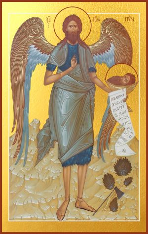 купить икону Иоанна Предтечи Крестителя Господня dm06061