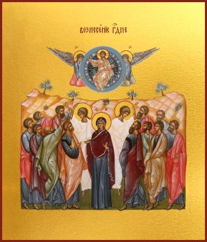 купить икону Вознесение Господне dm00624-1